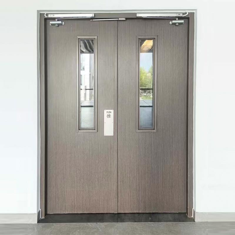 Hospital Steel And Wood Fire Door